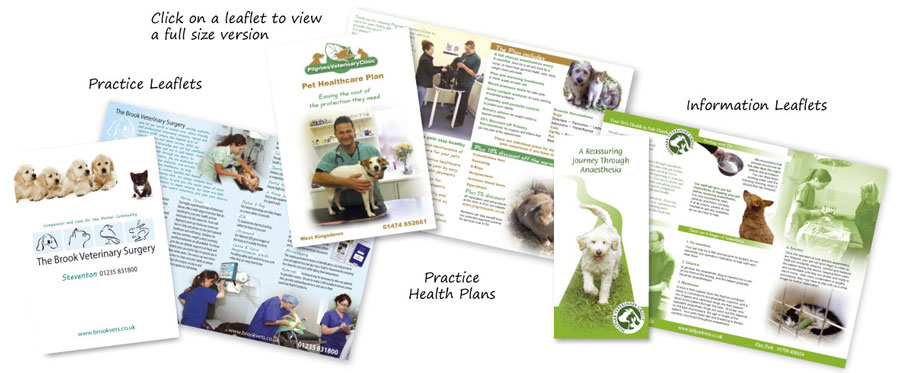 Veterinary Surgery Leaflets