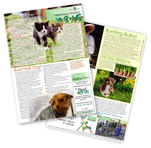 Flexi Vet News Spring 2026